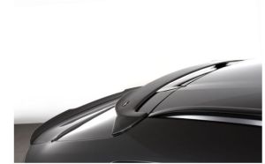 AC Schnitzer Dachspoiler passend fr BMW X4M F98