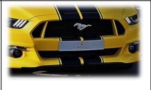 Frontgrill Racelook Abbes passend fr Ford  Mustang LAE