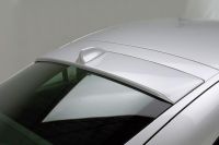 Rieger Heckscheibenblende mit Dachflosse passend fr Audi TT 8N