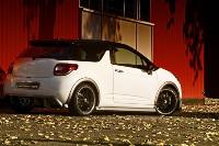 Musketier side skirts carbon look fits for Citroen DS3