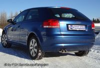 FOX Sportauspuff passend fr Audi A3 Typ 8P Endschalldmpfer - 2x76 Typ 13