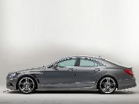 Lorinser side skirts  fits for Mercedes CLS W218