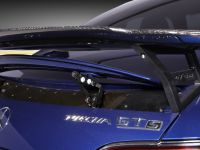 Piecha  rear wing fits for Mercedes AMG GT W190