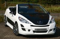 front bumper EnGard Musketier Tuning fits for Peugeot 207